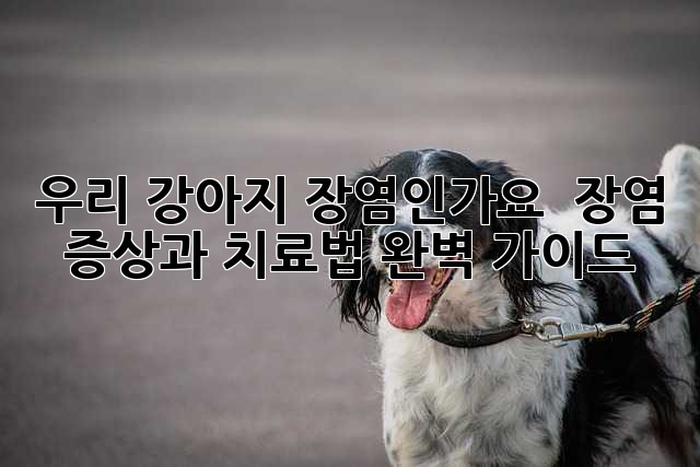 우리 강아지, 장염인가요? 🐶 장염 증상과 치료법 완벽 가이드