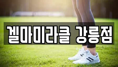 겔마미라클 강릉점