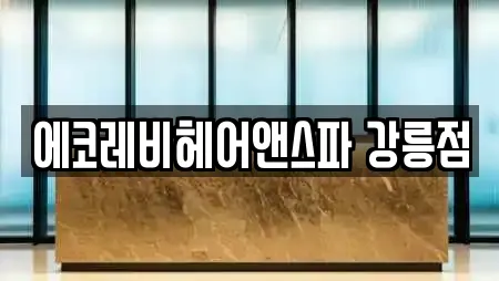 에코레비헤어앤스파 강릉점