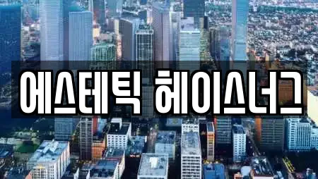 에스테틱 헤이스너그