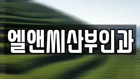 엘앤씨산부인과