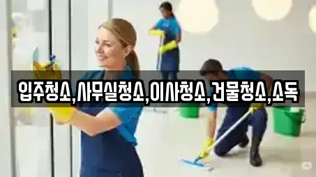입주청소 비교 견적 11곳 (경남 사천 사남면)