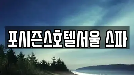 포시즌스호텔서울 스파