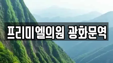 프리미엘의원 광화문역