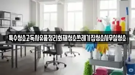 특수청소고독사유품정리화재청소쓰레기집청소사무실청소