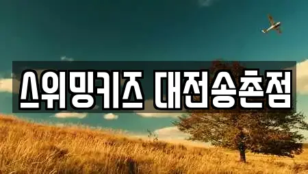 스위밍키즈 대전송촌점