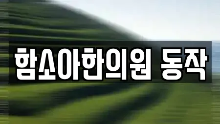 함소아한의원 동작