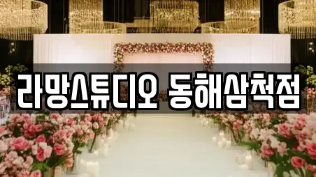 동해시 송정동 웨딩컨설팅 전문 6정보