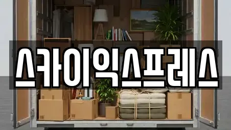 스카이익스프레스