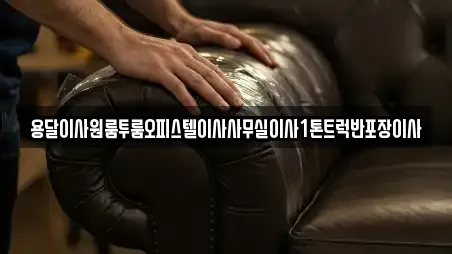 용달이사원룸투룸오피스텔이사사무실이사1톤트럭반포장이사