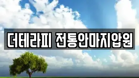 더테라피 전통안마지압원