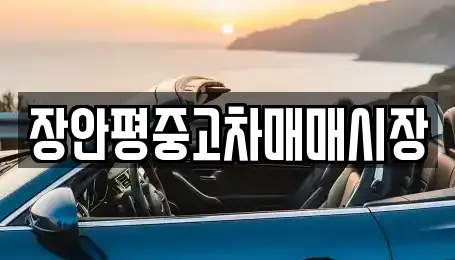 장안평중고차매매시장