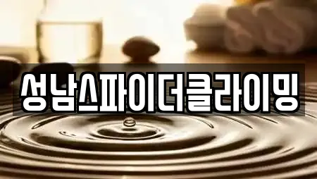 성남스파이더클라이밍