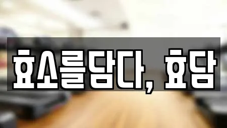 효소를담다, 효담