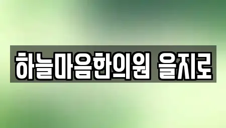 하늘마음한의원 을지로