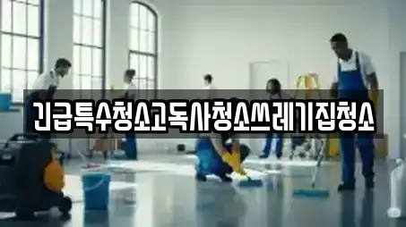 긴급특수청소고독사청소쓰레기집청소