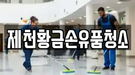 제천황금손유품청소