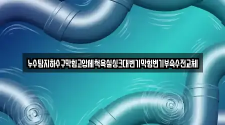 누수탐지하수구막힘고압세척욕실싱크대변기막힘변기부속수전교체