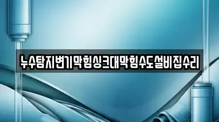 누수탐지변기막힘싱크대막힘수도설비집수리