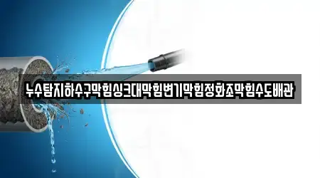 누수탐지하수구막힘싱크대막힘변기막힘정화조막힘수도배관