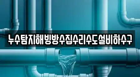 누수탐지해빙방수집수리수도설비하수구