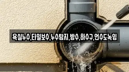 욕실누수,타일보수,누수탐지,방수,하수구,언수도녹임