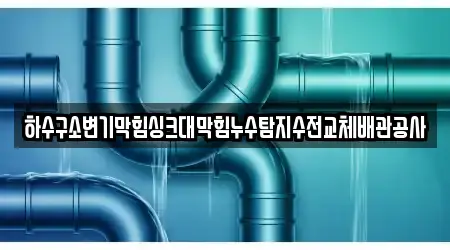 하수구소변기막힘싱크대막힘누수탐지수전교체배관공사