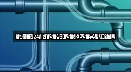 임반장배관24시변기막힘싱크대막힘하수구막힘누수탐지고압세척