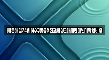 빠른해결24시하수구뚫음수전교체싱크대세면대변기막힘비용