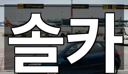 5곳 서울특별시 성북구 동소문동2가중고차 총정리