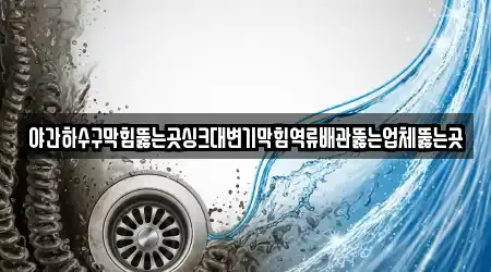 야간하수구막힘뚫는곳싱크대변기막힘역류배관뚫는업체뚫는곳