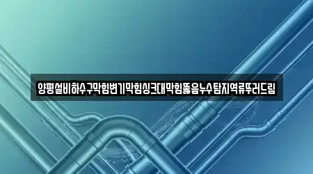 양평설비하수구막힘변기막힘싱크대막힘뚫음누수탐지역류뚜러드림