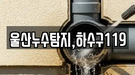 울산누수탐지,하수구119