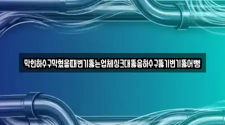 막힌하수구막혔을때변기뚫는업체싱크대뚫음하수구뚫기변기뚫어뻥
