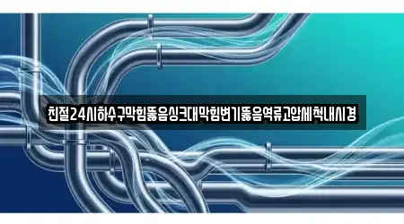 친절24시하수구막힘뚫음싱크대막힘변기뚫음역류고압세척내시경