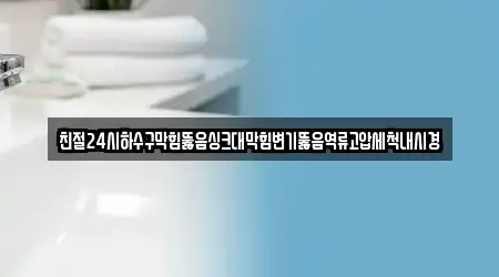 친절24시하수구막힘뚫음싱크대막힘변기뚫음역류고압세척내시경