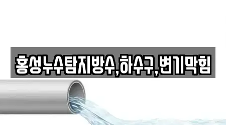 홍성누수탐지방수,하수구,변기막힘