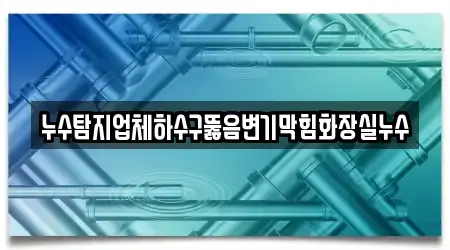 누수탐지업체하수구뚫음변기막힘화장실누수