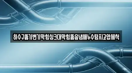 하수구뚫기변기막힘싱크대막힘뚫음냄새누수탐지고압세척