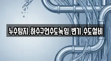 누수탐지.하수구언수도녹임.변기.수도설비