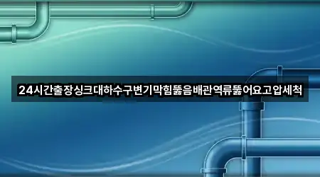 24시간출장싱크대하수구변기막힘뚫음배관역류뚫어요고압세척