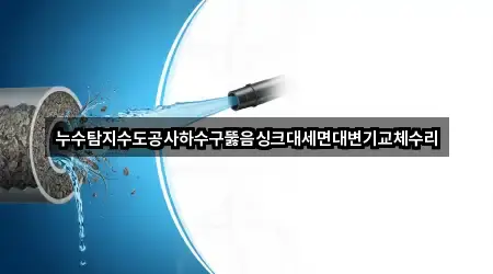 누수탐지수도공사하수구뚫음싱크대세면대변기교체수리