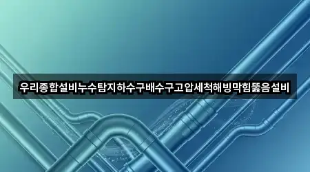 우리종합설비누수탐지하수구배수구고압세척해빙막힘뚫음설비