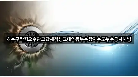 하수구막힘오수관고압세척싱크대역류누수탐지수도누수공사해빙