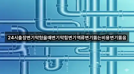 24시출장변기막혔을때변기막힘변기역류변기뚫는비용변기뚫음
