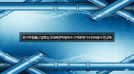변기막힘뚫는업체싱크대배관막힘하수구역류변기수리비용수전교체