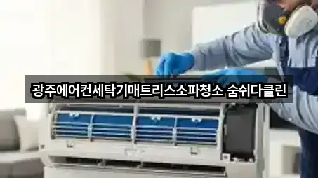 광주광역시 북구 동림동청소 지도에서 한 번에 5곳