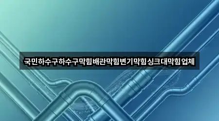 국민하수구하수구막힘배관막힘변기막힘싱크대막힘업체