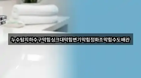 누수탐지하수구막힘싱크대막힘변기막힘정화조막힘수도배관