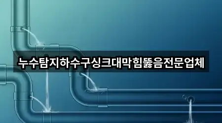 누수탐지하수구싱크대막힘뚫음전문업체